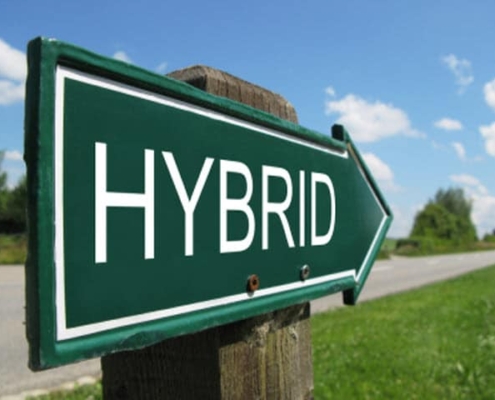Hybrid-Sign