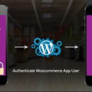 authenticate woocommerce app user